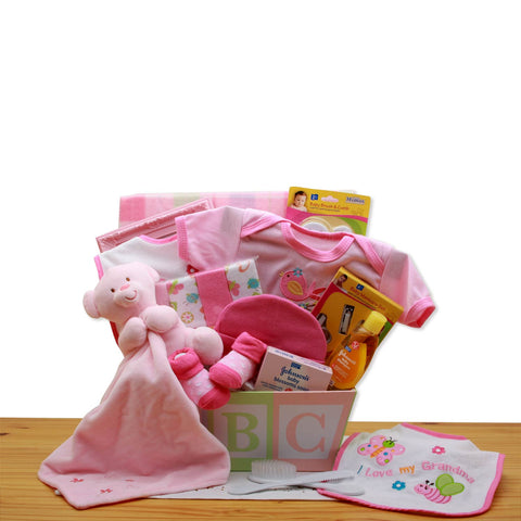 Welcome Home Little One Gift Basket - SKU:  BBC509