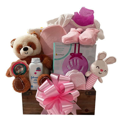 Little Peanut Baby Girl Gift Basket SKU:  CBC1022