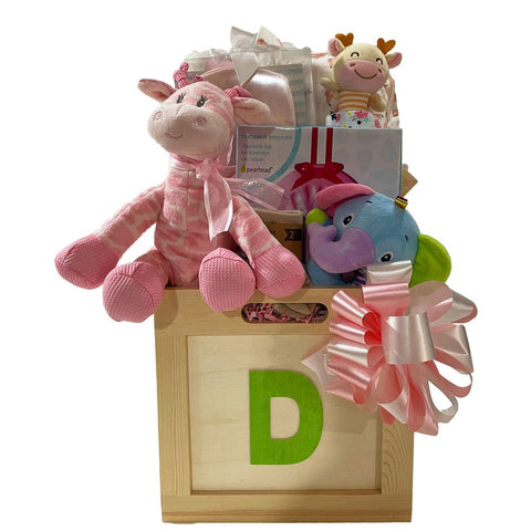 Double Blessings Twin Babies Basket - SKU:  CBC1026
