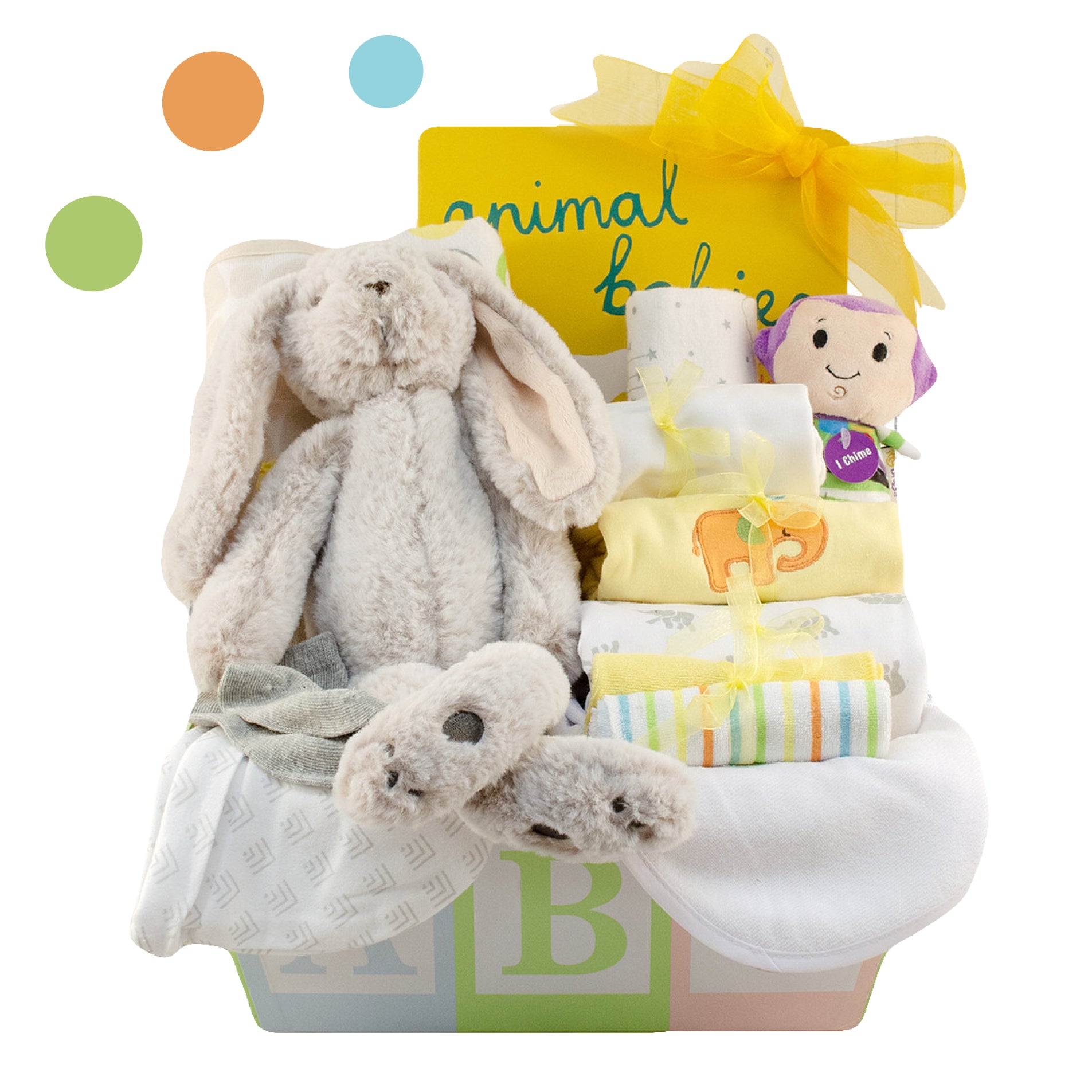 ABC Neutral Gender Gift Box Stork Baby Gift Baskets
