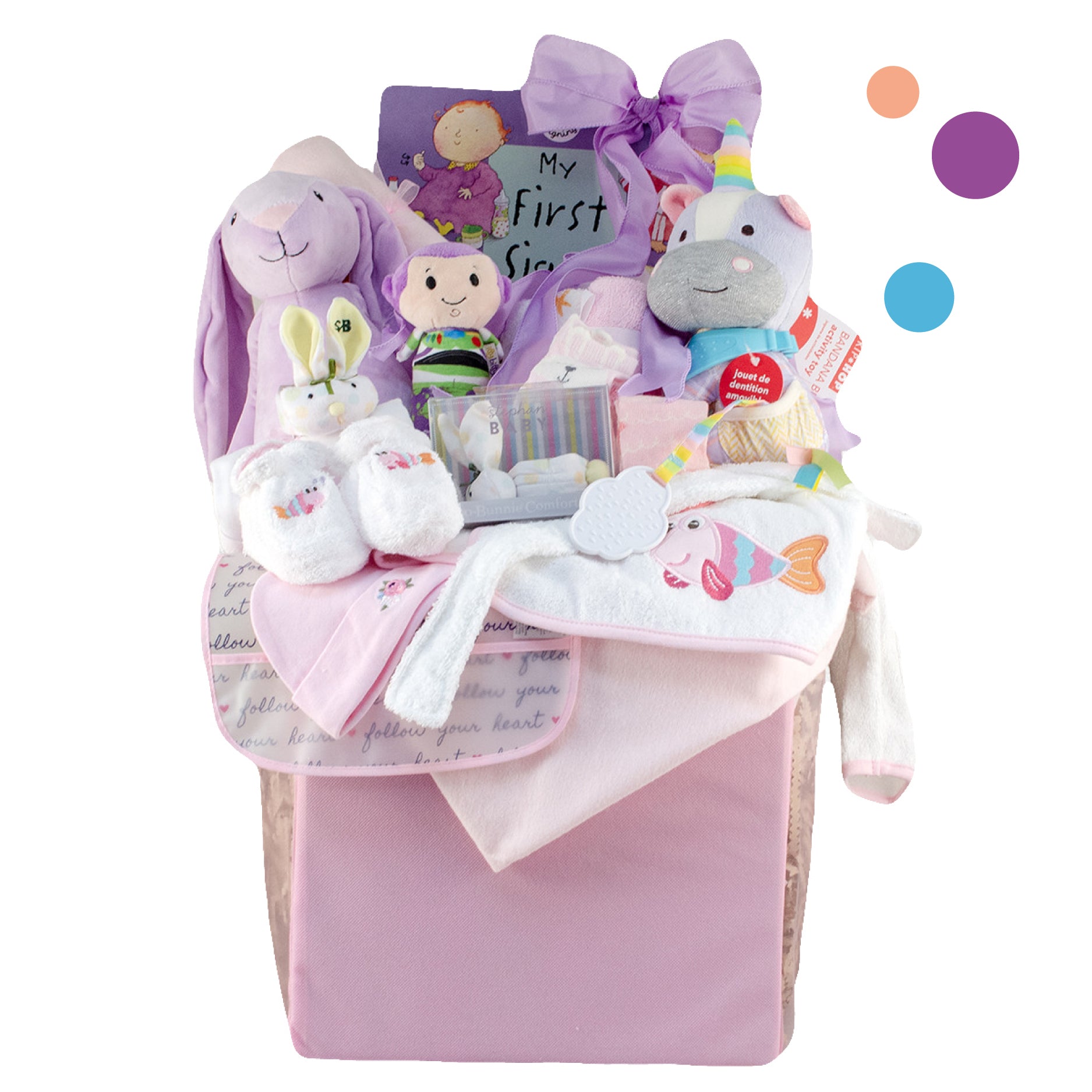 Bundle of Joy Baby Girl Gift Basket Stork Baby Gift Baskets