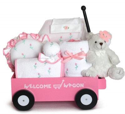 Send Best Wishes With Our Pretty In Pink Baby Gift - StorkBabyGiftBaskets.com