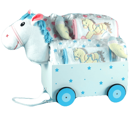 Twins Baby Gifts - StorkBabyGiftBaskets.com