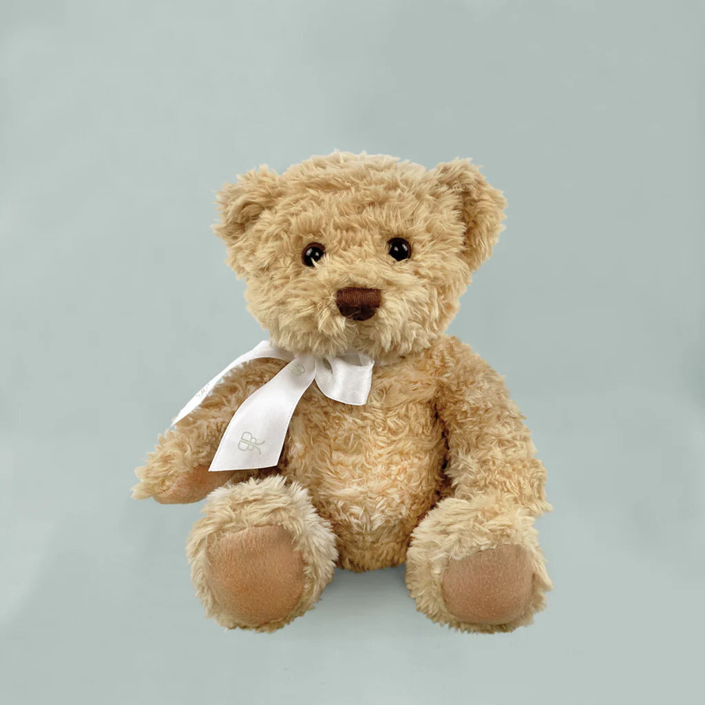 Bear & Bouquet Baby Gift Basket - SKU:  LBG1011