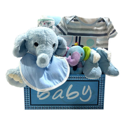 Bear & Bouquet Baby Gift Basket - SKU:  LBG1011
