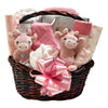 Baby Girl Gift Bundle Basket