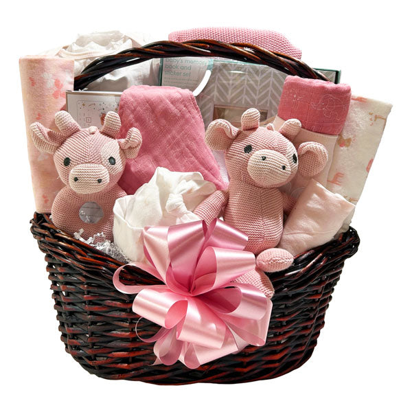 Baby Girl Gift Bundle Basket