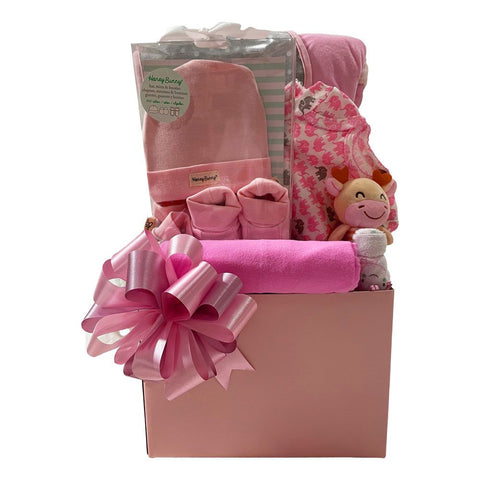 New Arrival Baby Gift Hamper - SKU: CBB195