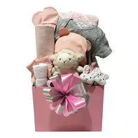 Baby Girl Gift Box - SKU:  CBC1015