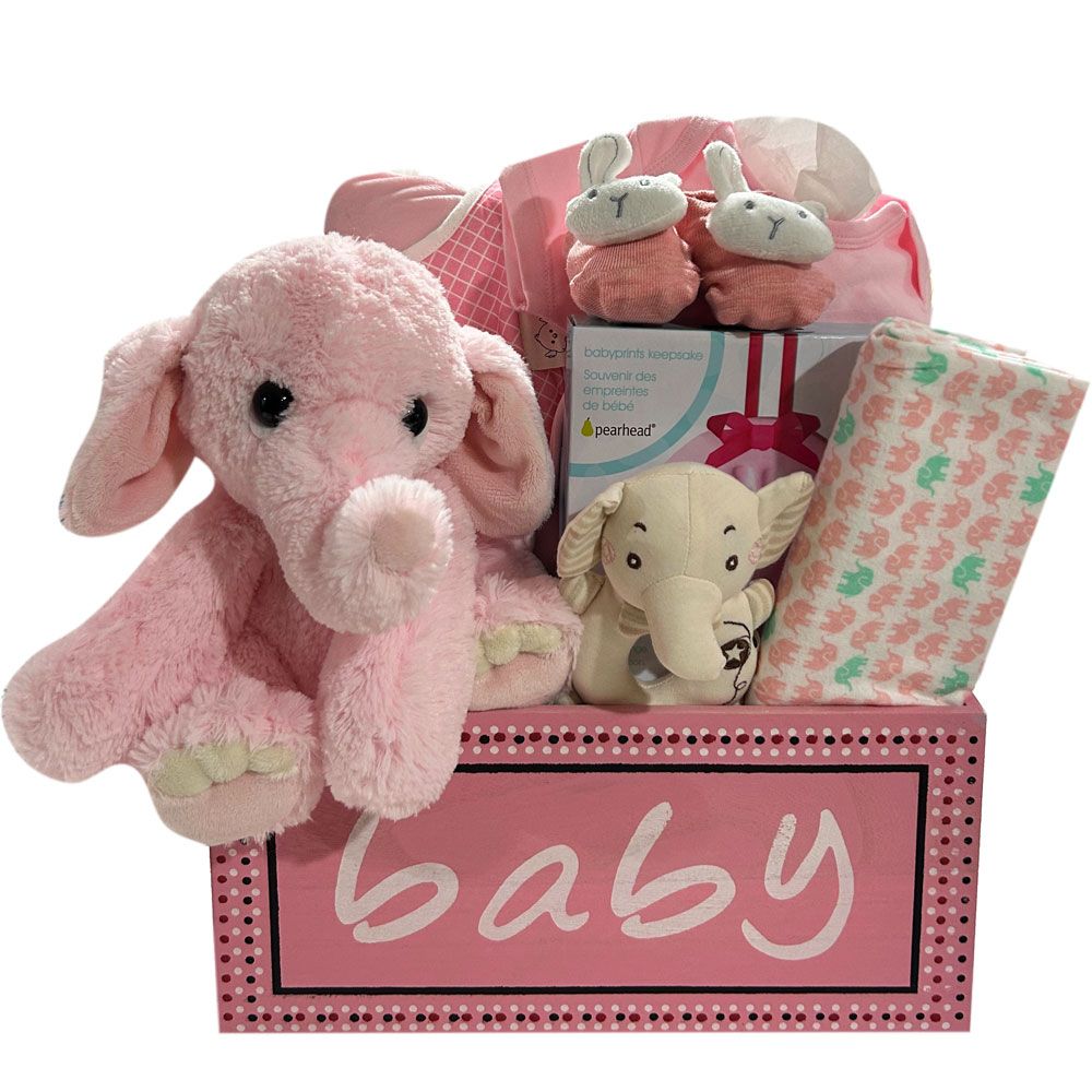 Baby Girl Premium Fundamentals - SKU:  CBC1033