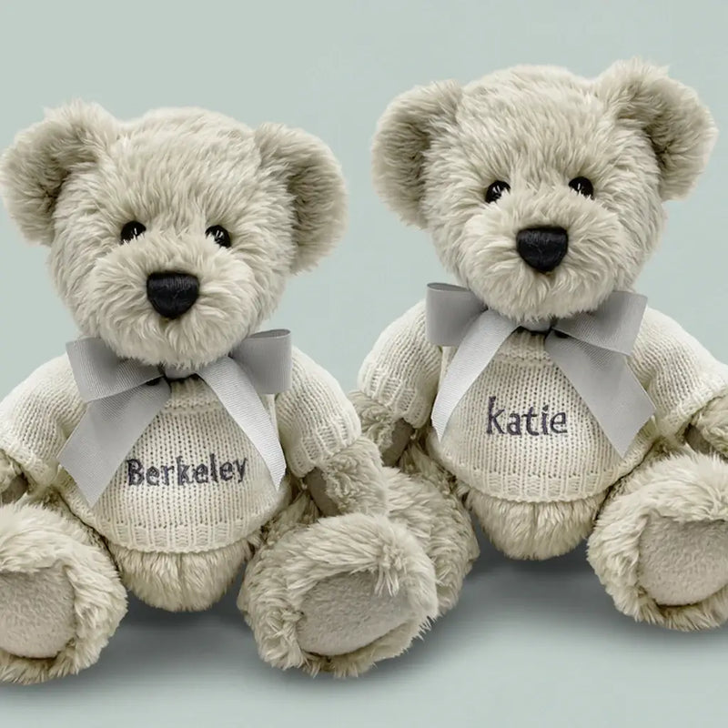 Bear & Blanket Twins Gift Set