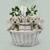 Bear Necessities Twins Baby Basket