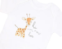 Garden Flutter - Organic Baby Girl Basket