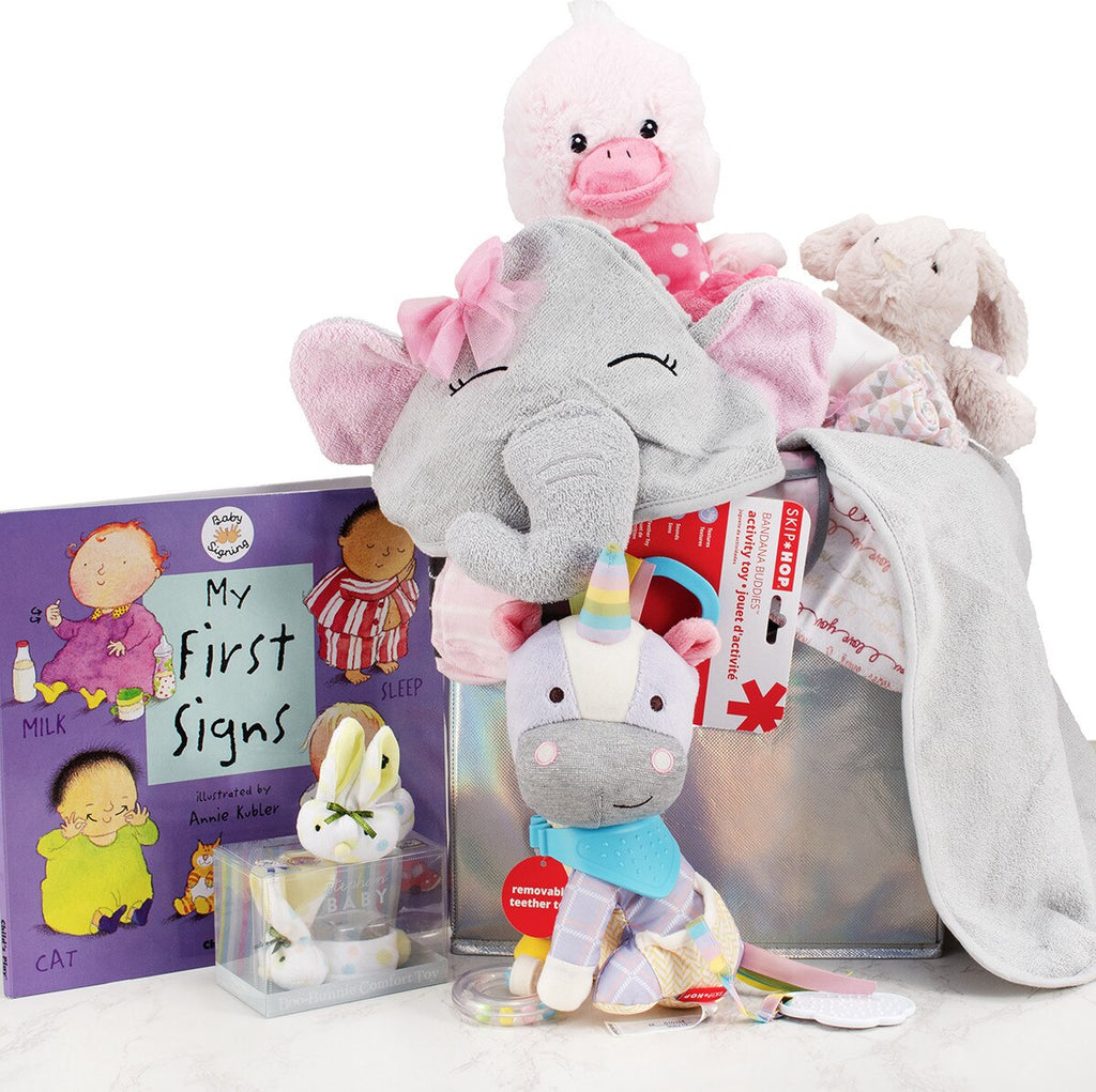 Bundle of Joy Hamper Girl - SKU: CBB327