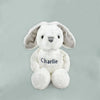 Bunny & Bathrobe Personalized Baby Set in White