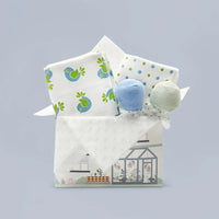 Coo & Cozy Swaddles & Socks Gift Set, Boy
