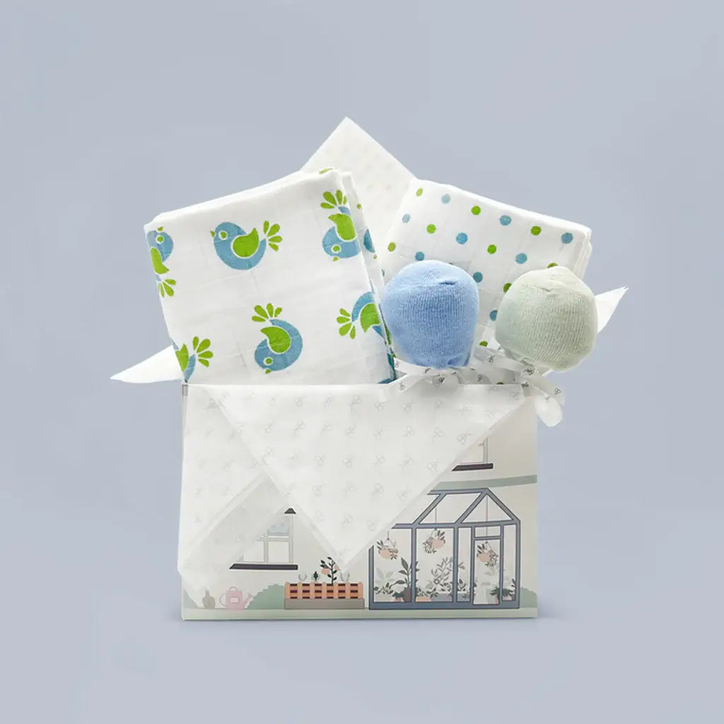 Coo & Cozy Swaddles & Socks Gift Set, Boy