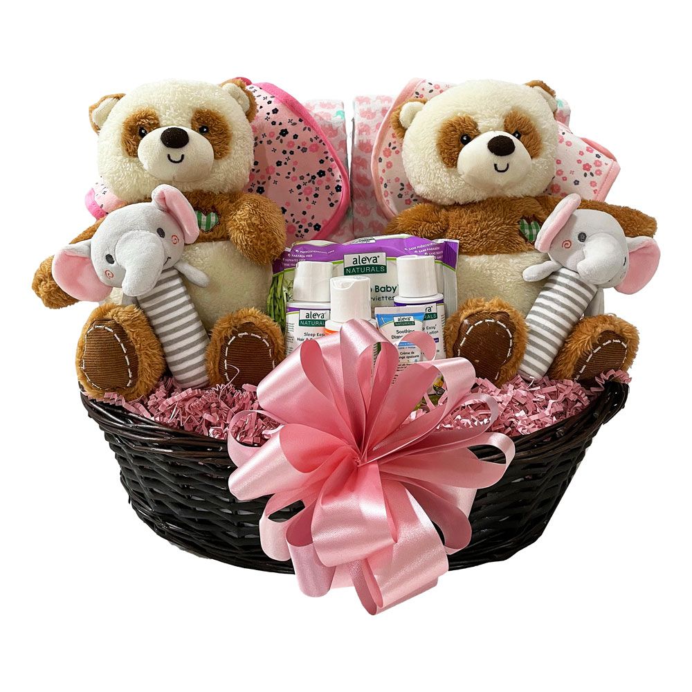 Double Delight Twins New Baby Gift Basket Yellow