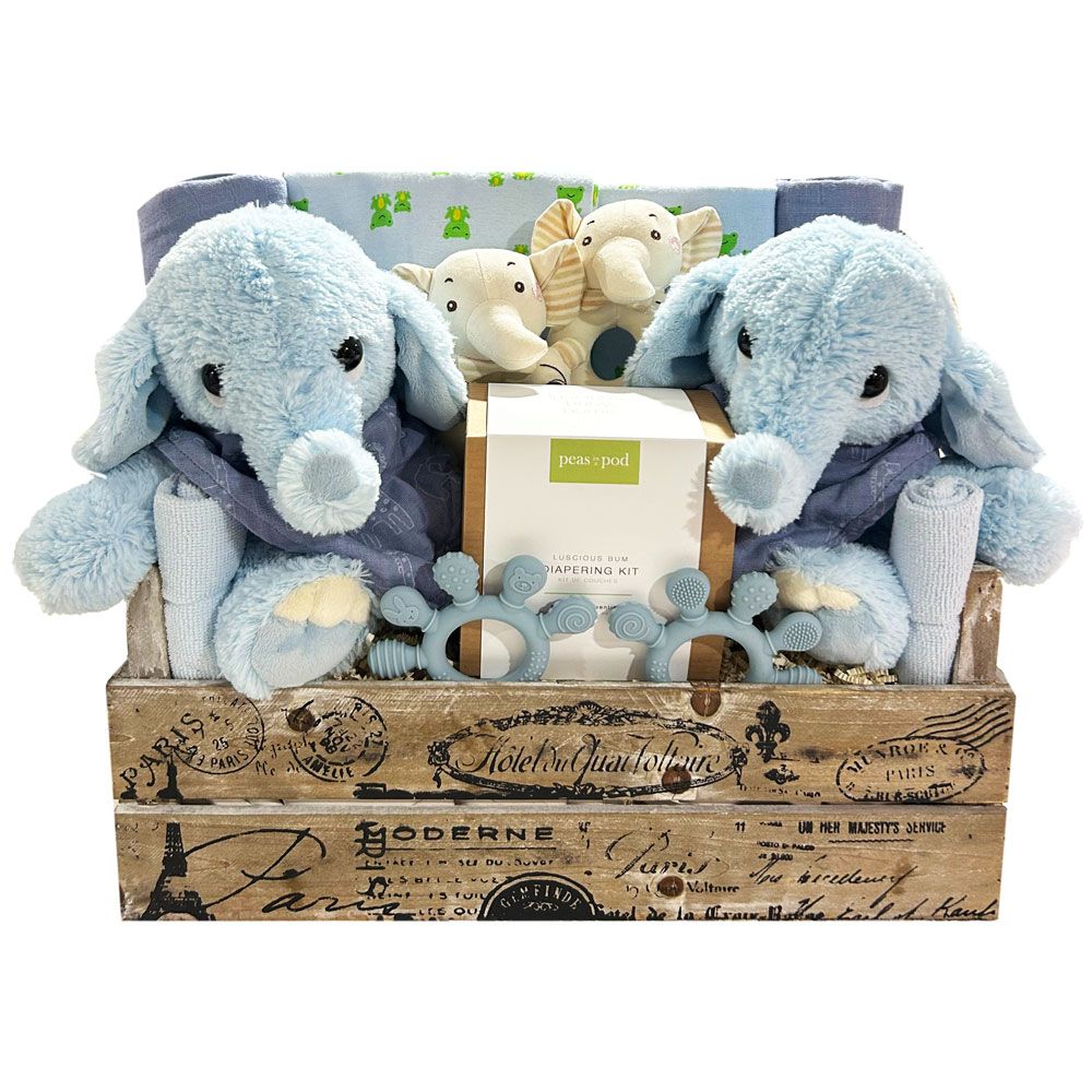 Double Blessings Twin Boys - SKU:  CBC1024