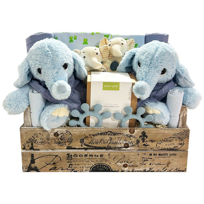 Double Blessings Twin Boys - SKU:  CBC1024