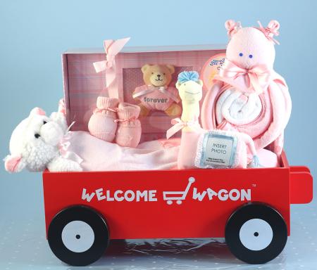 Forever Keepsake Baby Girl Welcome Wagon Gift Set