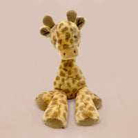 Hopes & Wishes For You Giraffe Gift Set