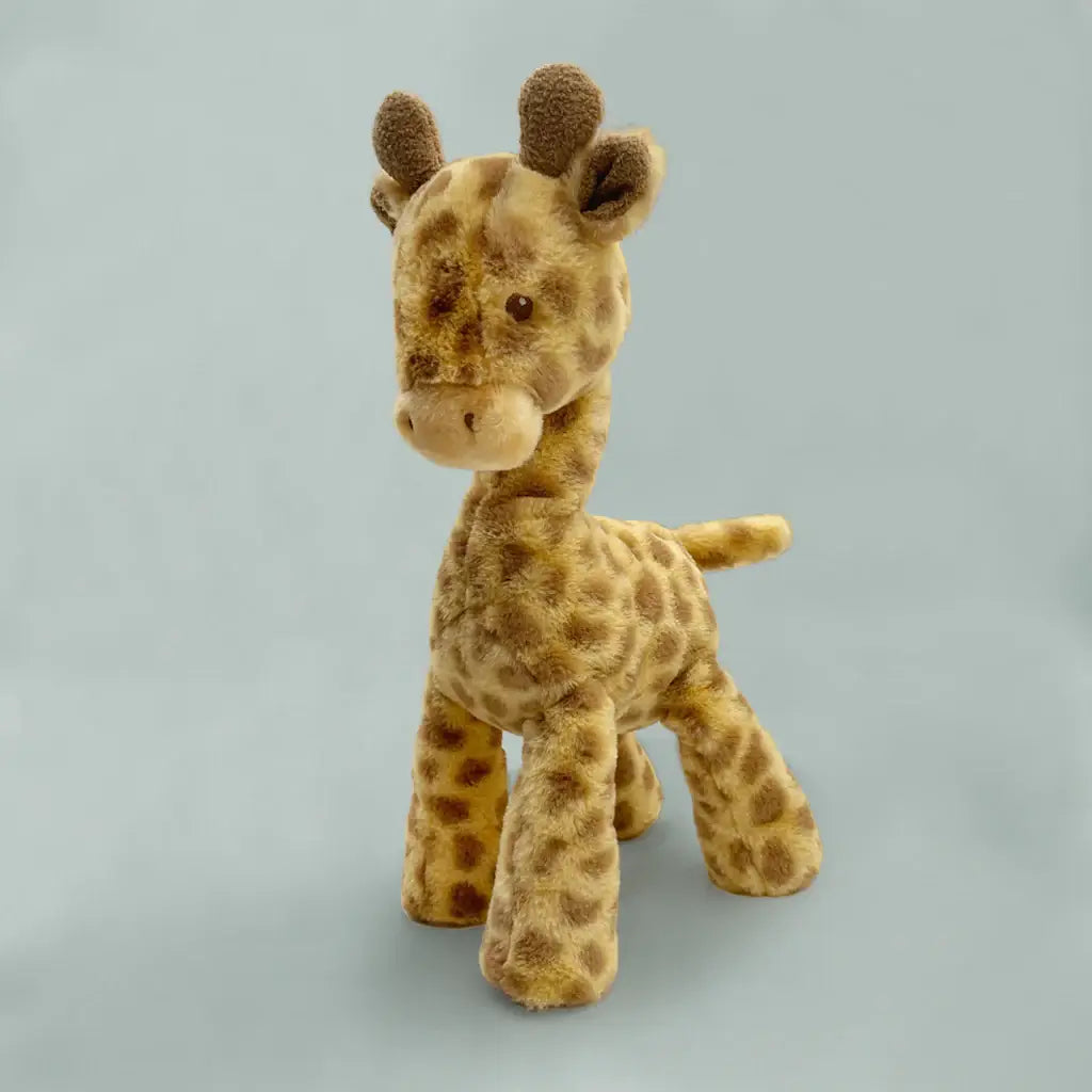 Giraffe Welcome Girl Gift Box