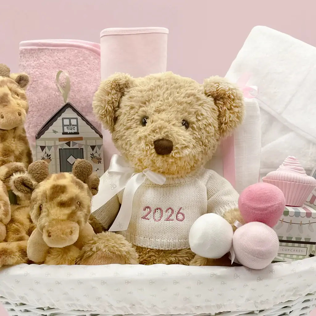 Happy First Year | Baby Girl Gift Basket | Giraffes
