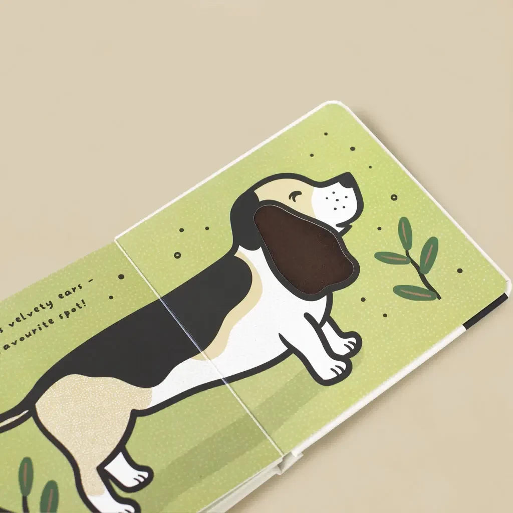 Hoppy Homecoming - Personalized Baby Gift Set