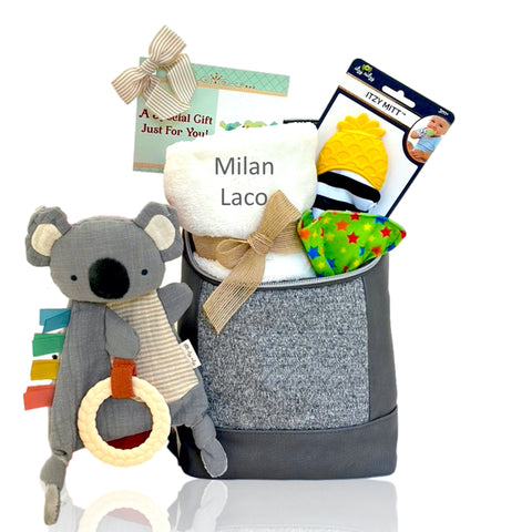 Welcome Home Little One Gift Basket - SKU:  BBC509