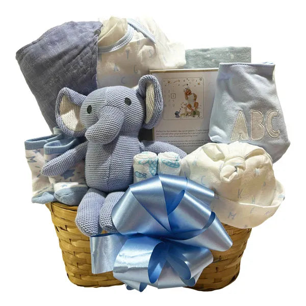 Little Darling Baby Boy Gift Basket