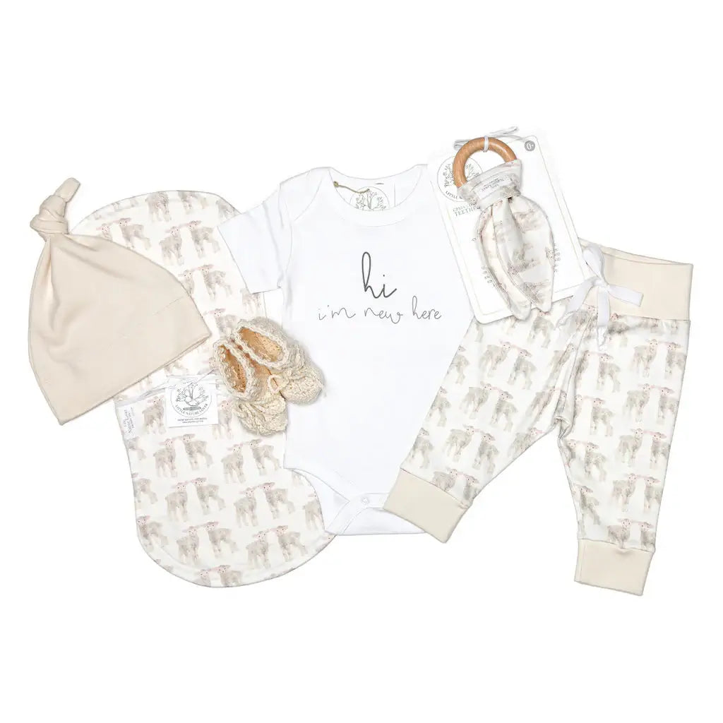 Little Lamb: A Woolly Welcome – Organic Layette Gift Basket