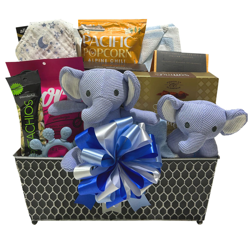 Luxury Baby Boy Gourmet Basket 