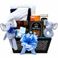 Luxury Baby Boy Gourmet