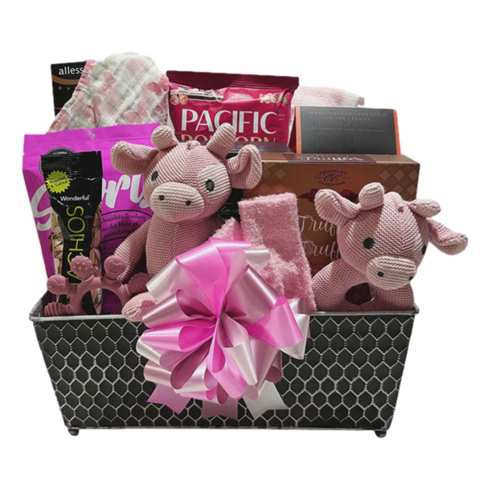 Luxury Baby Girl Gourmet Basket