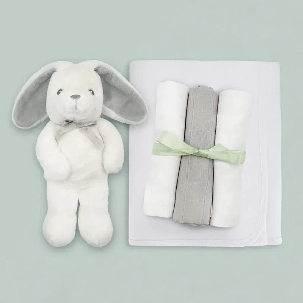 Mommy & Me Luxury Keepsake Baby Basket