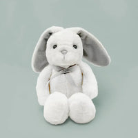 Mommy & Me Luxury Keepsake Baby Basket