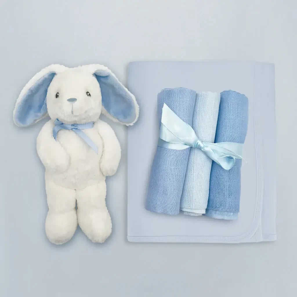 Mommy & Me Luxury Keepsake Baby Boy Basket