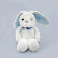 Mommy & Me Luxury Keepsake Baby Boy Basket
