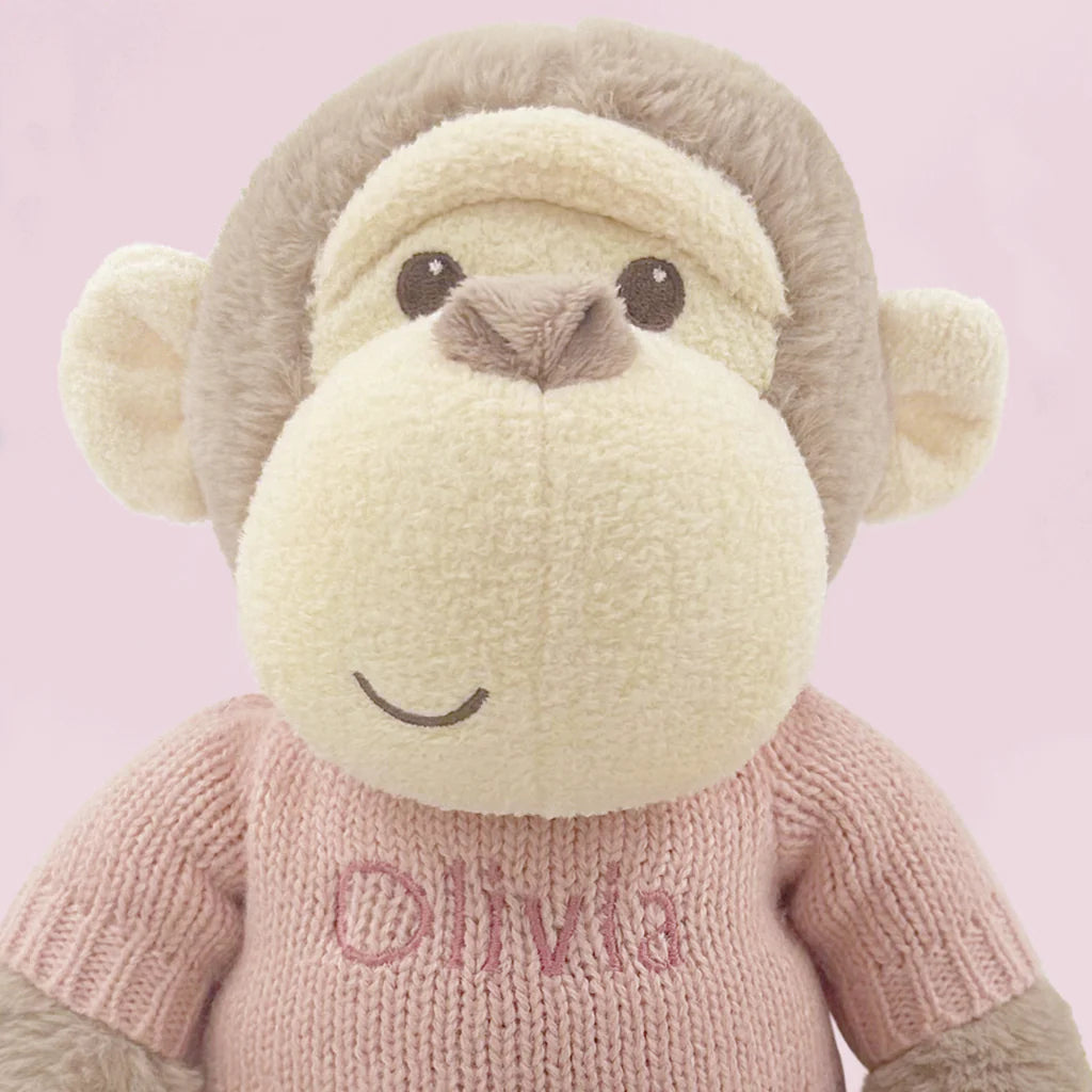 Personalized Monkey Toy W/ Soft Book & Blanket Wrap - Pink