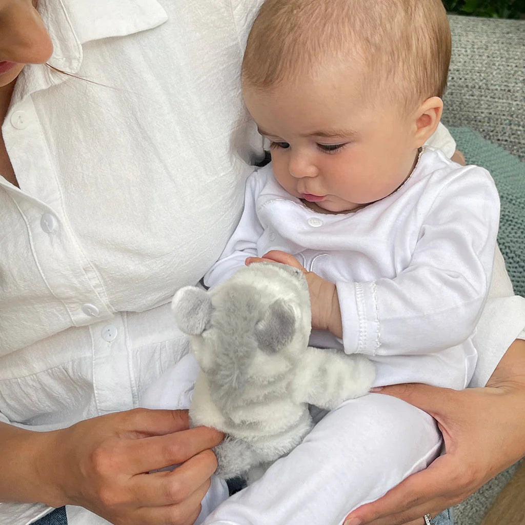 Moses Baby Gift Basket - Pink