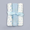 Moses Baby Gift Basket - Blue