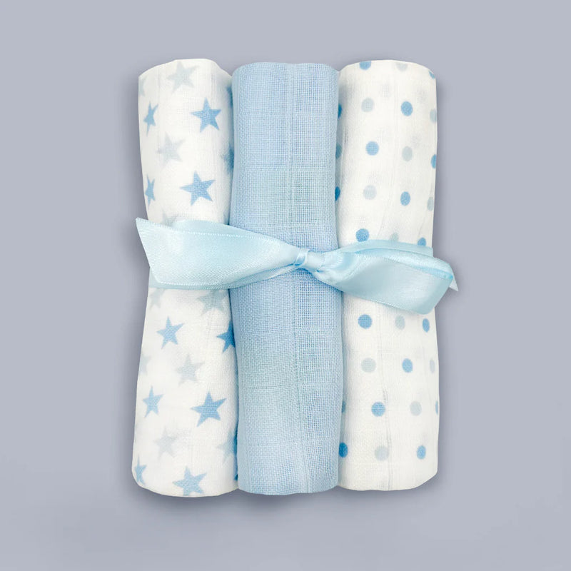 Moses Baby Gift Basket - Blue