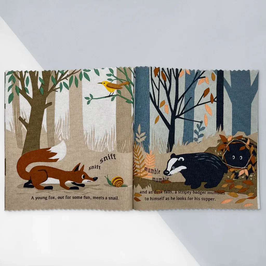 Personalized Rag Book and Bunny