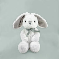 Personalized Rag Book and Bunny