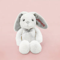 Personalized Valentine Bunny With Sock Pops