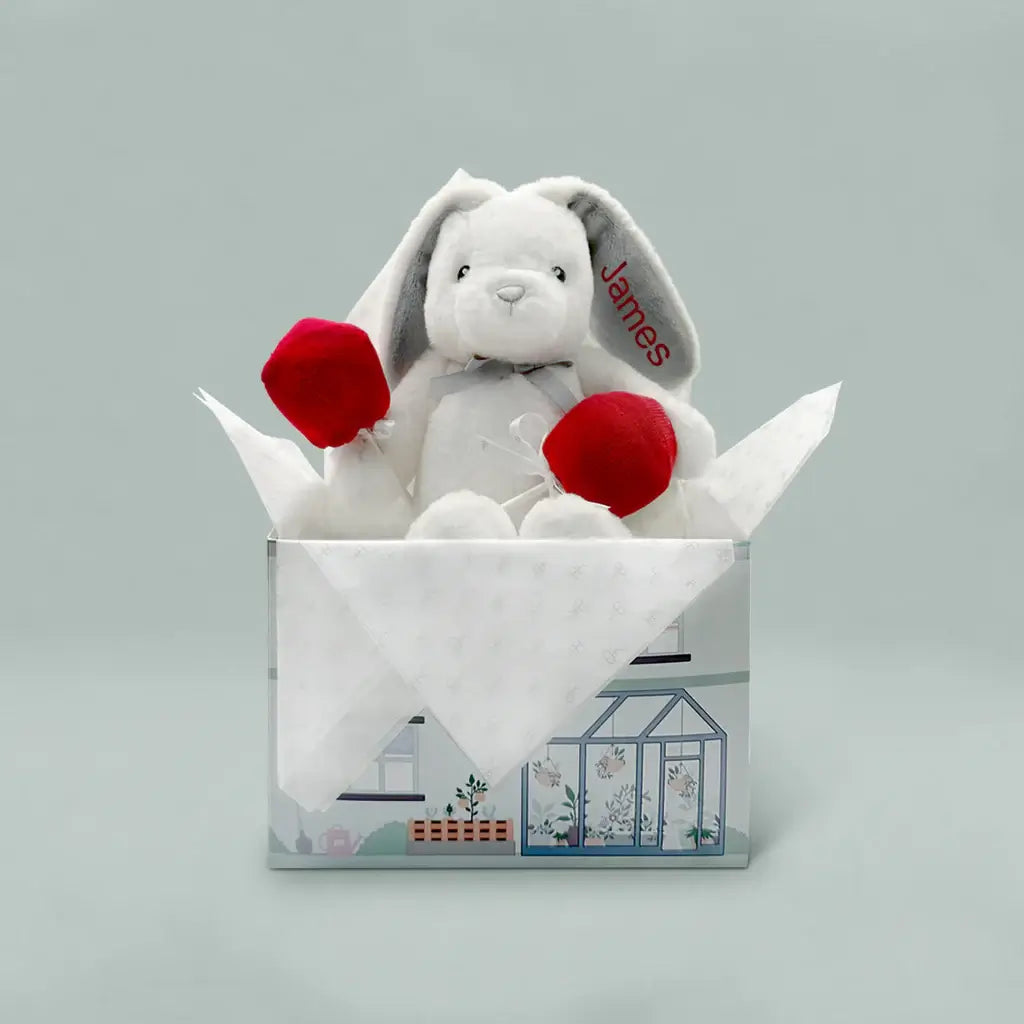 Personalized grey bunny and red baby sock-pops Valentine's Day gift set in illustrated gift box, safe from birth