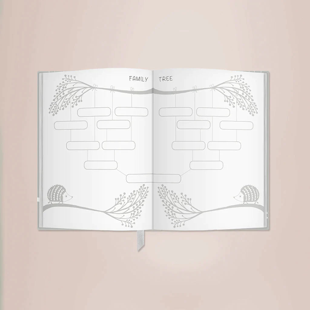 Precious Memories Baby Gift Set