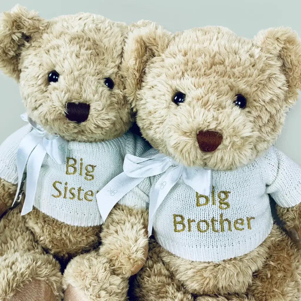 Two teddy bears with knitted sweaters embroidered Big Brother and Big Sister with ribbon bows — sibling gift set
