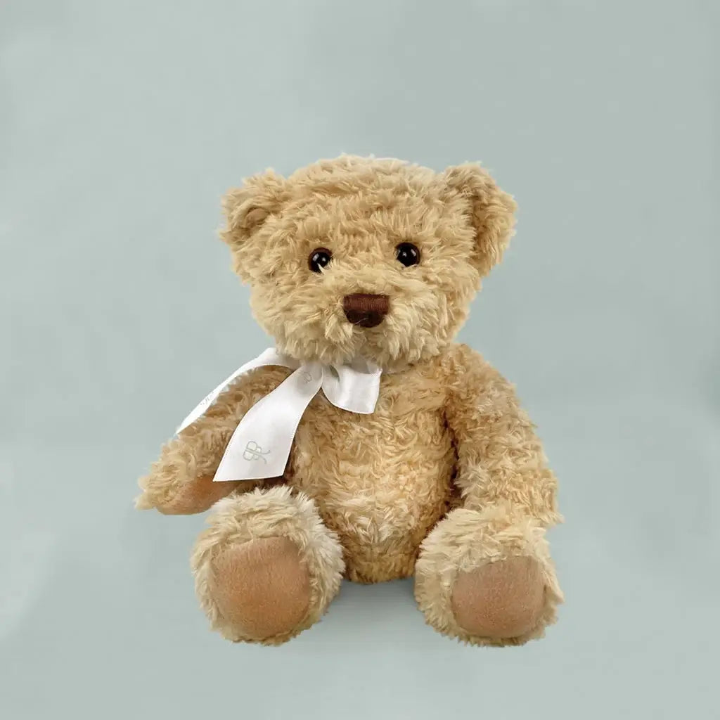 Snuggle Bear Luxury Newborn Gift Box — Gender Neutral